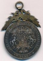 1907. "Ember küzdj és bízva bízzál! / Temesvári Kerületi Ifjúsági Tornaverseny" jelzett Ag...