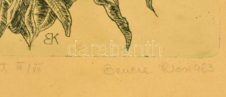 Bene Klára (?-): Pünkösdirózsa. Színes rézkarc, papír, jelzett, üvegezett keretben, 29,5×19 cm