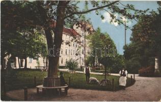 Nagyszeben, Hermannstadt, Sibiu; Városliget, szanatórium / park and sanatorium