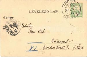 1906 Pécs, Schlauch villatelep. Kiadja Fürst Lipót 5788. (EK)