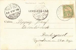 1902 Pilismarót, Pilis-Maróth; Római katolikus templom, Heckenast kastély, kúria. Kiadja Kardos Dezs...