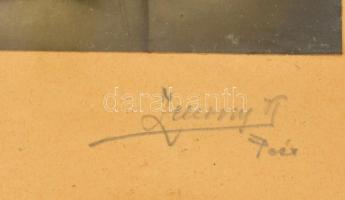 cca 1940 Magyar repülős tiszt fotója. Felvidék és Erdély emlékérmekkel. Üvegezett keretben. 39x36 cm