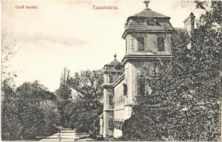 Tata, Tata-Tóváros; Grófi kastély (Esterházy kastély). Engländer és Társa kiadása