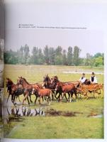 Magyar lovaskönyv. Szerk.: Ernst József, Dr. Fehér Dezső, Dr. Ócsag Imre. Bp., 1988, Mezőgazdasági-C...