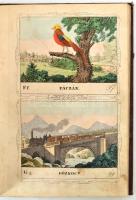 Ney Ferencz: Gyermekek könyve képekkel. Írta --. Második, bővített kiadás.
Pest, 1851. Emich Gusztá...