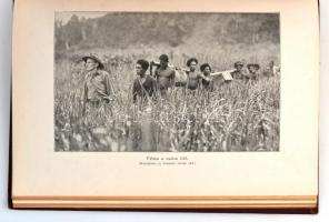 Merlin Moore Taylor: A kannibálok földjén. Barangolás Pápua szívében. Fordította: Halász Gyula. Magy...