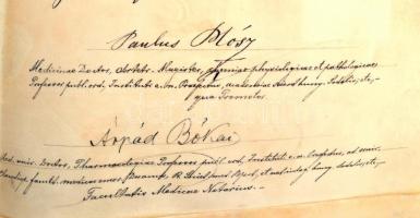 1894 Dekoratív pergamen orvosi diploma, teljesen ép függő viaszpecséttel, rajta Fodor József, Plósz ...