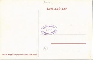 Vasas bányatelep (Pécs), Wiesner akna, gépház (szakadás / tear)