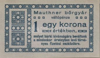 Újpest/Mauthner bőrgyár 1919. 1K T:I