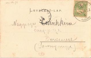 1903 Balatonaliga, Balaton-Aliga (Balatonvilágos); látkép, vendéglő (fl)