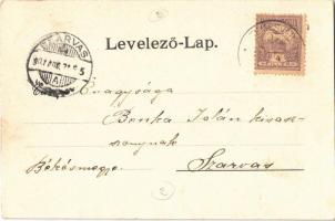 1901 Temesvár, Timisoara; Hunyady utca, Kereskedelmi és Iparkamara, M. Neumann üzlete / street view,...