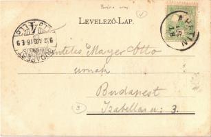 1902 Gombos, Bogojeva, Bogojevo; Fahíd a kis Dunán, személyvonat rátétele a gőzkompra, gőzmozdony / ...