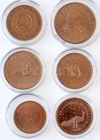 Macedónia 1993-2008. 50d-10D (6xklf) közte 2000. 1D Br "Kereszténység 2000 éve" T:1,1- Macedonia 1993-2008. 50 Deni - 10 Denari (6xdiff) including 2000. 1 Denar Br "2000 Years of Christianity" C:UNC,AU