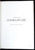 Dr. Krébecz Jenő: Gombaatlasz. Bp., 1988, Pallas. Kiadói kartonált papírkötés