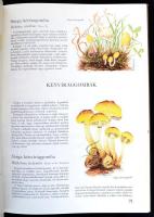 Dr. Krébecz Jenő: Gombaatlasz. Bp., 1988, Pallas. Kiadói kartonált papírkötés