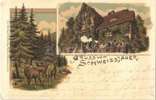 1898 Dubí, Eichwald; Schweissjäger / Myslivna Barvár / cafe and restaurant, forest, deers. Car Otto Hayd Art Nouveau, litho (EK)