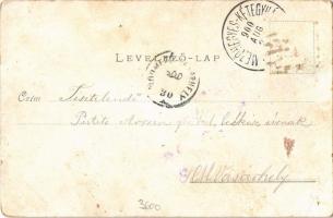 1900 Mezőhegyes, Kozma Ferenc szobor. Nyomta Bloch H. 506. sz. Szecessziós virágos litho keret / Art...