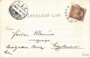 1901 Lippa, Lipova; Tűzoltótorony, utca, üzlet. Gregor Fischer 10101. / fire tower, street, shop