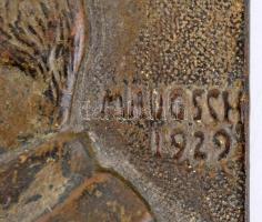 Maugsch Gyula (1882-1945): Apponyi Albert domborműve 1929. Bronz, jelzett. 18,5x13 cm