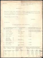 1948 Bp., A II. ker. áll. leánylíceum és tanítóképző intézet lakóinak kimutatása