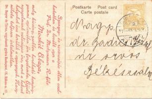 1913 Budapest I. Dunai látkép a várral. Hátoldalon Prof. Dr. Matzenhauer R.-féle Moskit Ebaga reklám...