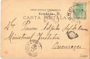 1903 Dorohoi, Dorohoj; Calea Dorobantilor / street view. Phot & Edit. J. Ambre (worn corners)