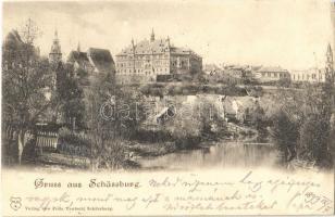 1899 Segesvár, Schässburg, Sighisoara; Városháza / town hall (EK)