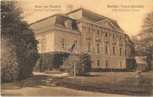 Temesújfalu, Temesvár-Újfalu, Neudorf; Gróf Zselénski kastély. Theiss Antal kiadása / Schloss / castle