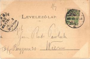 1902 Temesvár, Timisoara; Jenő herceg tér, Rukavina emlékmű, Takarékpénztár, Martin Jakab üzlete. Ki...