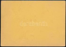 cca 1920 Gróf Esterházy Pezsgőgyár Tata levelezőlap