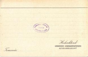 Temesvár, Timisoara; Ungarische Kammgarnspinnerei Actien-Gesellschaft / Magyar fésűsgyapjú fonoda re...