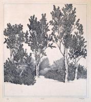 Tulipán László (1943-): Fák. Rézkarc, papír, jelzett, 27×24 cm
