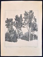 Tulipán László (1943-): Fák. Rézkarc, papír, jelzett, 27×24 cm