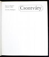 Németh Lajos: Csontváry. Bp., 1980, Corvina. Kiadói aranyozott egészvászon-kötésben, kiadói szakadt ...