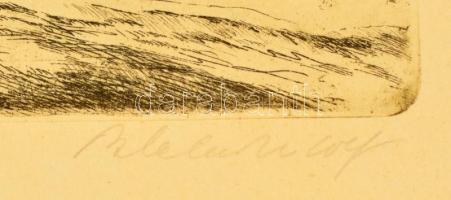 Blahos Rudolf (1917-1986): Tiszapart. Rézkarc, papír, jelzett, üvegezett keretben, 29×38 cm