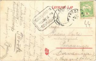 1913 Felsőbánya, Baia Sprie; Hotel Korona szálloda, kávéház és étterem, bor és sörcsarnok / hotel, c...