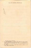 Pancsova-Temespart, Pancevo; vasútállomás megnyitó ünnepsége magyar zászlókkal és címerrel / opening...