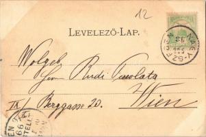 1900 Nagyszeben, Hermannstadt, Sibiu; látkép templomokkal. Verlag der Buchhandlung G. A. Seraphin / ...