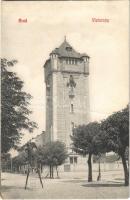 1909 Arad, Víztorony, fényképész állvánnyal egy létrán. Kiadja Kerpel Izsó 20. / water tower, photographer standing on a ladder (fa)