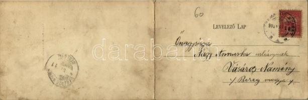 1905 Máramarossziget, Sighetu Marmatiei; látkép, Gyógyszertár, Honig József, Zombory C. Zoltán, Lebo...