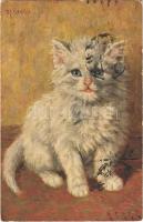 1915 Kitten, Serie 554. s: M. Stacks
