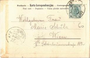 1902 Rzeszów, Dworzec kolejowy / Bahnhof / vasútállomás / railway station, train (Rb)