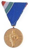 1954. Évi Dunai Árvízvédelemért aranyozott Br kitüntetés mellszalaggal T:2