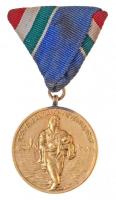 1954. Évi Dunai Árvízvédelemért aranyozott Br kitüntetés mellszalaggal T:2