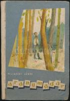 Pilinszky János: Aranymadár. Márkus Anna rajzaival. Bp.,1957., Magvető. Első kiadás. Kiadói félvászon-kötés, kopott borítóval.