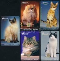 2003 Macskák, 5 db telefonkártya, közte 2000 db-os is