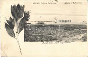 1911 Balatonberény, Kilátás a Balatonra, Armuth telep, Fürdő nagyszálloda, evezős csónak (szakadás / tear)