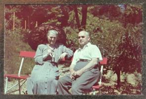 cca 1940-1950 20 db színes diafilm, családi, tájkép, csendélet