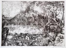 Iréne Radó Vajda (1952-): The river. Rézkarc, papír, jelzett, 19×26,5 cm