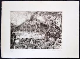 Iréne Radó Vajda (1952-): The river. Rézkarc, papír, jelzett, 19×26,5 cm